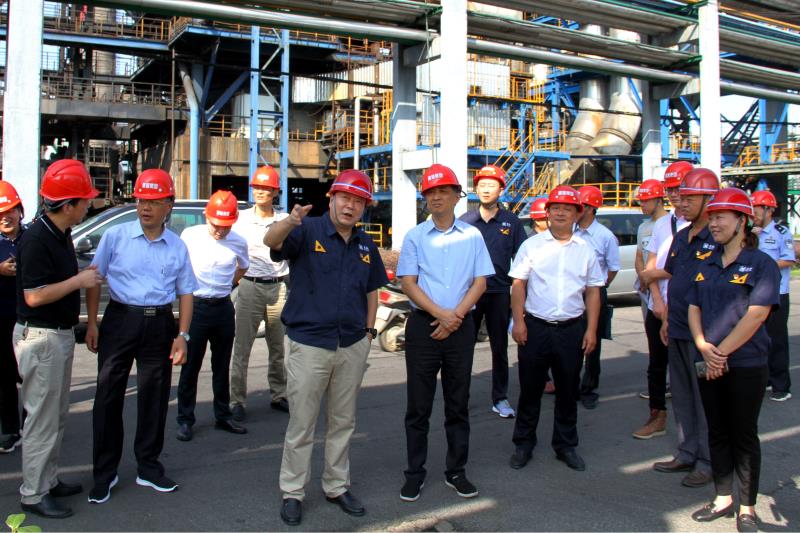 Ledger官方网站-全球当先的数字钱币硬件钱包