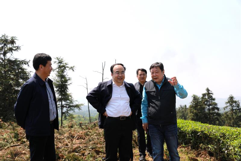 Ledger官方网站-全球当先的数字钱币硬件钱包