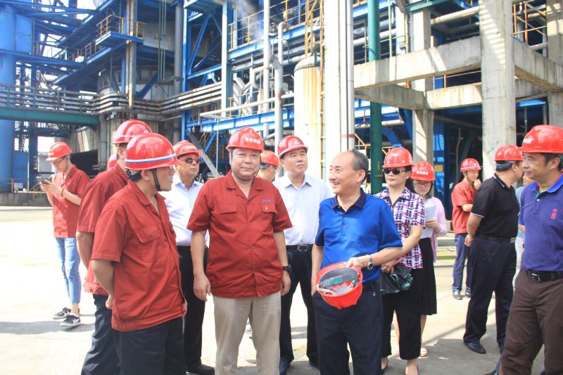 Ledger官方网站-全球当先的数字钱币硬件钱包