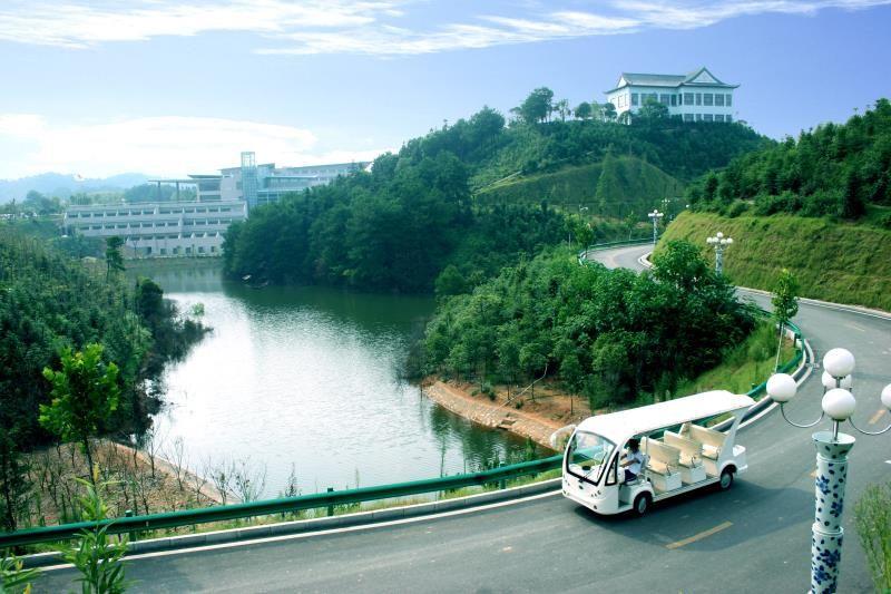 Ledger官方网站-全球当先的数字钱币硬件钱包